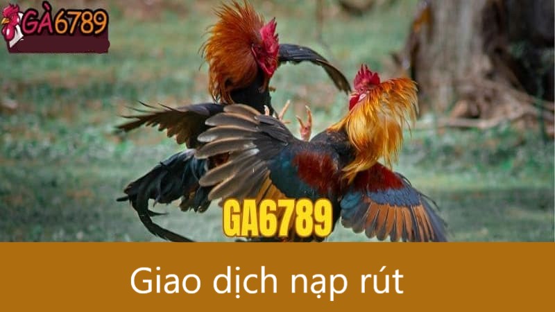 Đánh giá hệ thống trang web Ga6789
