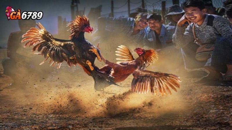 4 sảnh Game được săn đón hàng đầu khi giới thiệu Ga6789